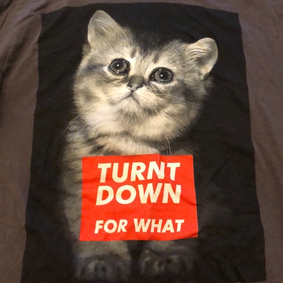 Turnt Down For What Cat Graphic Tee from Black Matter - Cute Fun Meme Shirt - Picture 2 of 2